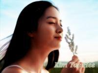 kim tae hee