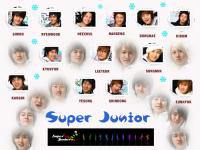 We are Super junior!!