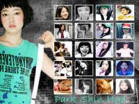 Park Shin Hye