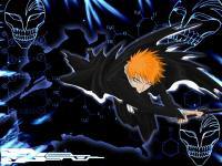 Bleach