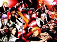 Bleach