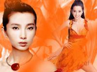 Li Bing Bing