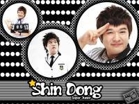 SHIN DONG HAE [SUPER JUNIOR]