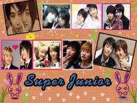 SUJU_LOVELY