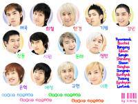 SuJu 13 ELF