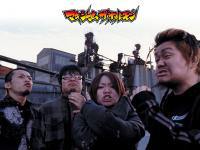 maximum the hormone