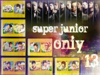 Super Junior:ONIY 13