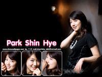 Park Shin Hye