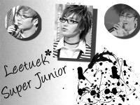 SJ-Leetuek