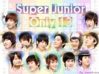 SUJU Only 13