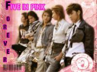 TvxQ Five in Pink (ver.2)