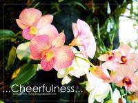 ::Cheerfulness::