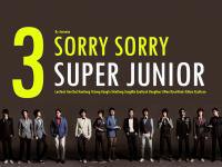 SJ Sorry Sorry