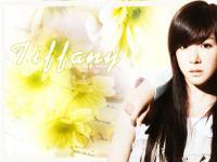 My...Tiffany>_<