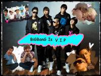 BigBang is V.I.P