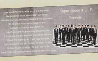 Super Junior - Proud to be E.L.F.