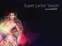 superjunior - siwon