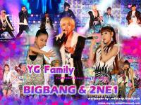 BIGBANG&2NE1 