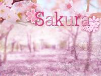 sakura