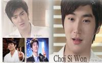 Choi Si Won in  Oh! My Lady