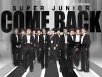 Super Junior,, Come back ...