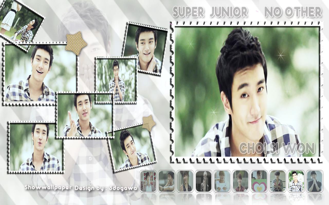 no other siwon