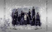 super junior no other