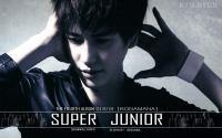 Super Junior  "No Other " Kyuhyun