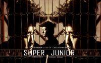 Super Junior "No Other " ShinDong