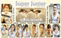 Super Junior in "Super Show 3"