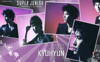 Super Junior SS3  :: Kyuhyun
