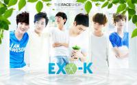 EXO K - the face shop [fresh]
