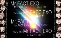 EXO FACTEXO