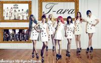 T-ara Day by Day NEW