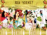 Red Velvet